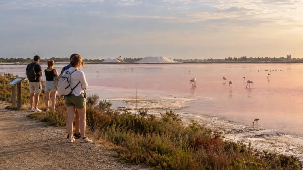 Pourquoi visiter les salins d'Aigues-Mortes révèle des trésors naturels